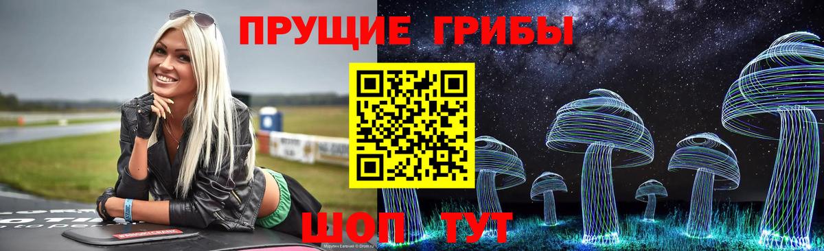 Псилоцибиновые грибы Cubensis Пенза