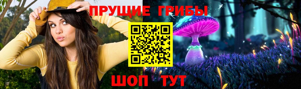 Псилоцибиновые грибы Psilocybine cubensis  Вход с VPN  Пенза 